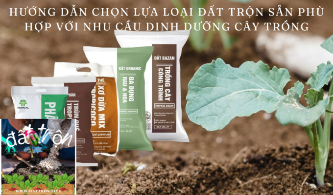 Hướng dẫn chọn lựa loại đất trộn sẵn phù hợp với nhu cầu dinh dưỡng cây trồng