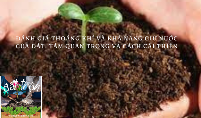 Đánh giá thoáng khí và khả năng giữ nước của đất: Tầm quan trọng và cách cải thiện