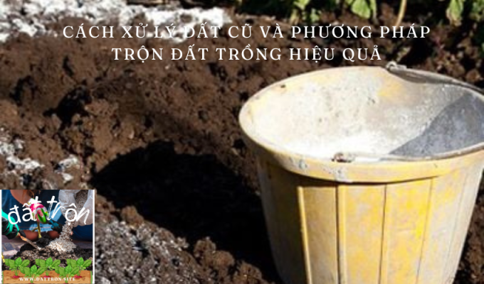 Cách xử lý đất cũ và phương pháp trộn đất trồng hiệu quả