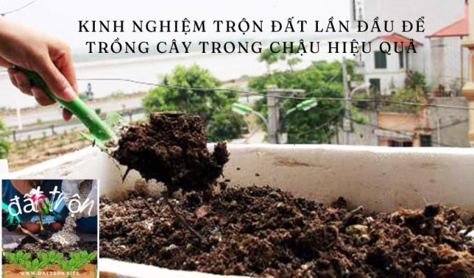 Kinh nghiệm trộn đất lần đầu để trồng cây trong chậu hiệu quả