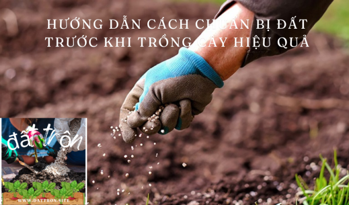 Hướng dẫn cách chuẩn bị đất trước khi trồng cây hiệu quả