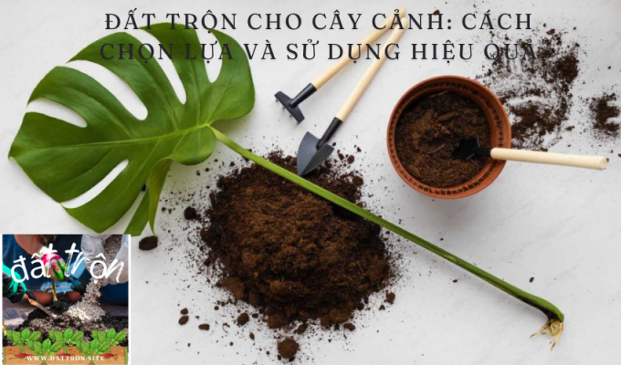 Đất trộn cho cây cảnh: Cách chọn lựa và sử dụng hiệu quả