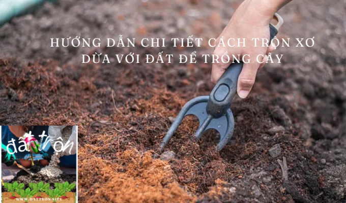 Hướng dẫn chi tiết cách trộn xơ dừa với đất để trồng cây