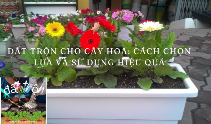 Đất trộn cho cây hoa: Cách chọn lựa và sử dụng hiệu quả