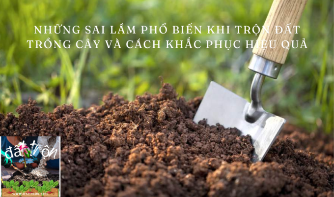 Những sai lầm phổ biến khi trộn đất để trồng cây và cách khắc phục hiệu quả