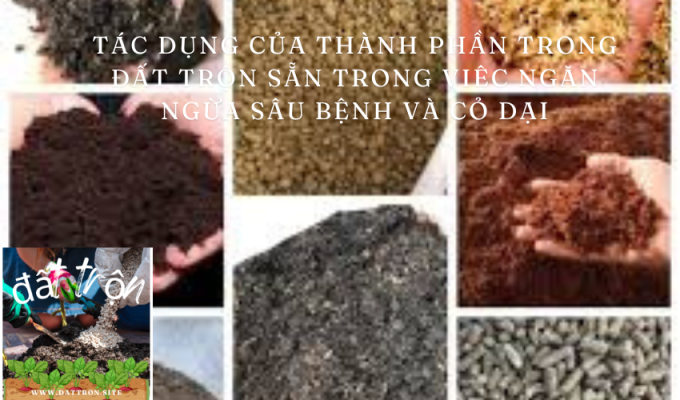 Tác dụng của thành phần trong đất trộn sẵn trong việc ngăn ngừa sâu bệnh và cỏ dại