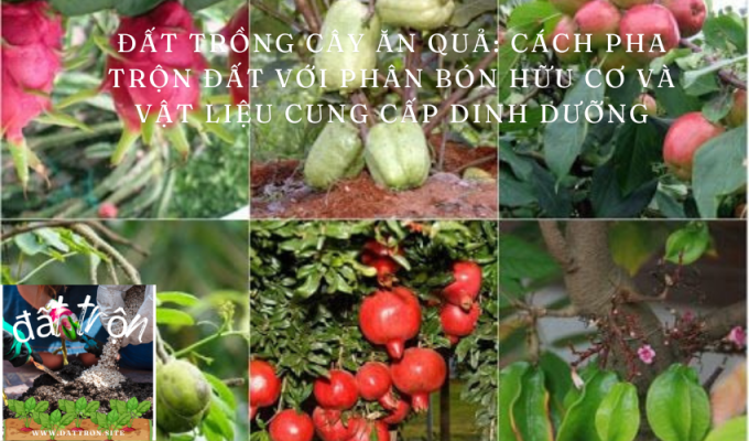 Đất trồng cây ăn quả: Cách pha trộn đất với phân bón hữu cơ và vật liệu cung cấp dinh dưỡng