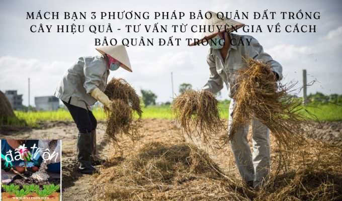 Mách bạn 3 phương pháp bảo quản đất trồng cây hiệu quả - Tư vấn từ chuyên gia về cách bảo quản đất trồng cây