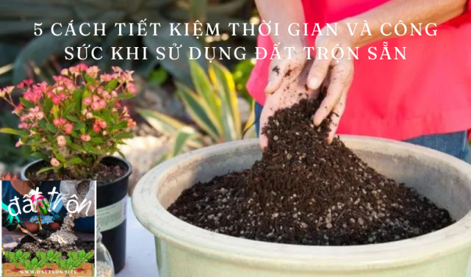 5 cách tiết kiệm thời gian và công sức khi sử dụng đất trộn sẵn