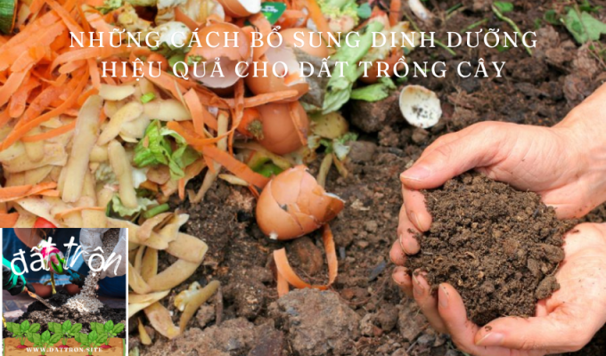 Những cách bổ sung dinh dưỡng hiệu quả cho đất trồng cây