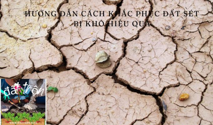 Hướng dẫn cách khắc phục đất sét bị khô hiệu quả