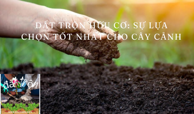 Đất trộn hữu cơ: Sự lựa chọn tốt nhất cho cây cảnh