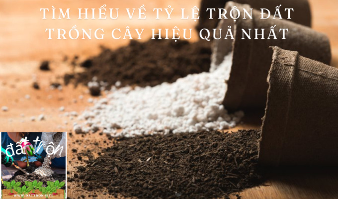 Tìm hiểu về tỷ lệ trộn đất trồng cây hiệu quả nhất